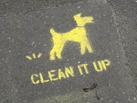 The fine was issued for a dog fouling offence.