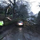 Two trees fell onto a car in Buxton which left sections of the trees overhanging onto a road.