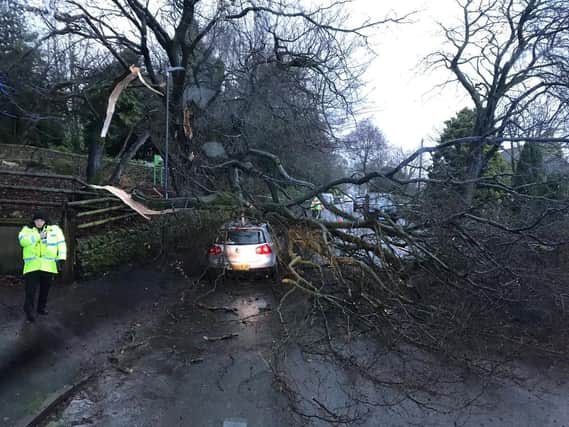 Two trees fell onto a car in Buxton which left sections of the trees overhanging onto a road.