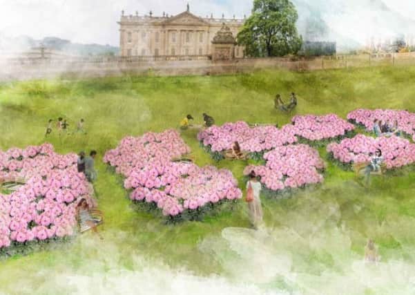 Artist's impression of the mass planting of dahlias at Chatsworth.