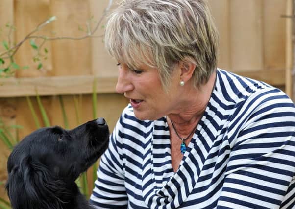 Chrissie Curtis with her working Cocker Spaniel Luna who is on the mend after suffering an adder bite.