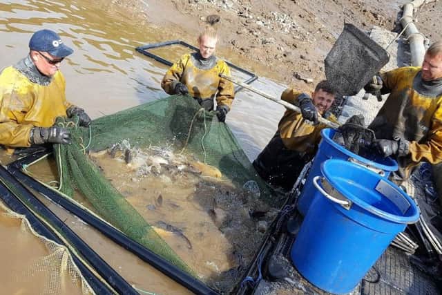 An initial fish rescue has taken place at Toddbrook Reservoir.