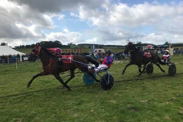 Harness racing or trotters at Longnor Races 2019