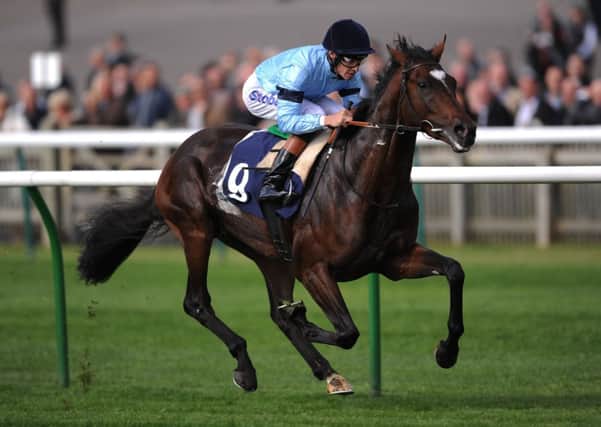 File photo dated 27/09/2012 of Telescope ridden by Richard Hughes. PRESS ASSOCIAION Photo. Issue date: Thursday May 23, 2013. Telescope has a sore left shin and is unlikely to run in the Investec Derby at Epsom on June 1, said trainer Sir Michael Stoute. See PA story RACING Telescope. Photo credit should read: Nigel French/PA Wire.