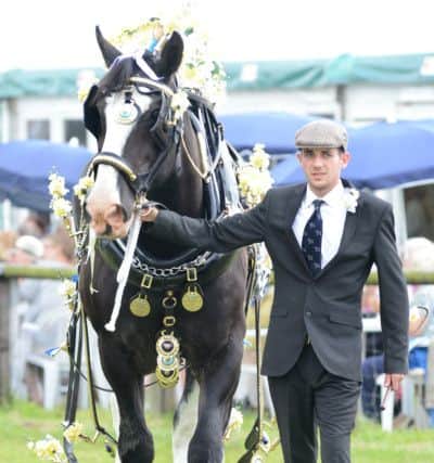 Bakewell show, an entry in the best decorated heavy horse class