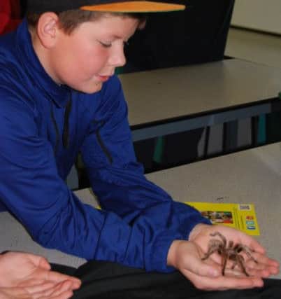 Chapel science day
A Year 7 student gets to grips with a tarantula