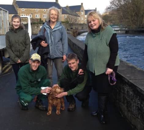 Stella the cocker spaniel, who was rescued by council workers Steven Sears and Leigh Hill, after falling into the river in Bakewell. Photo contributed.