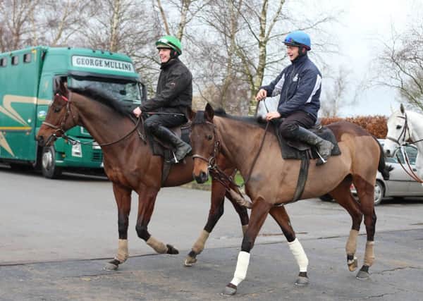 SUPERSTARS BIDDING TO CREATE HISTORY -- the Willie Mullins-trained duo, Hurricane Fly and Quevega, at their stable in County Carlow, Ireland (PHOTO BY: Niall Carson/PA Wire)
