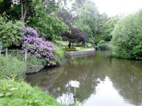 The pond at Glossops Howard Park.