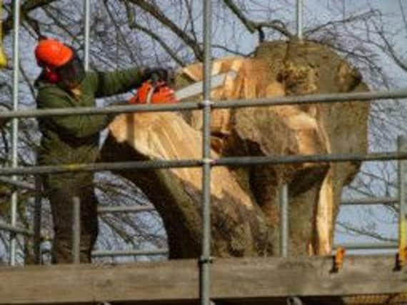 Wood carver Andrew Frost begins work on the tree