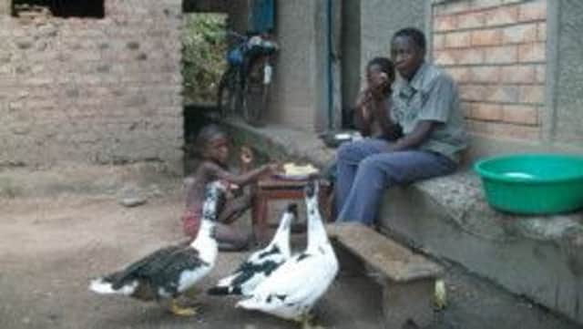A family with their new ducks courtesy of Uganda Link. Photo contributed.