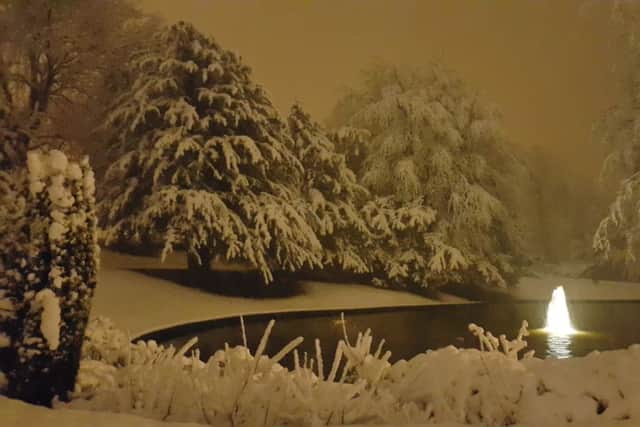 The illuminated fountain in the pond at a snowy Pavilion Gardens, by Stuart McNeil.