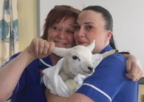 Staff nurses Lynne Nicholson and Amanda Mycock with one of the cuddly visitors.