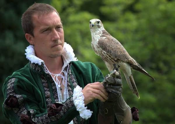 Albion Falconry will entertain families at Haddon Hall