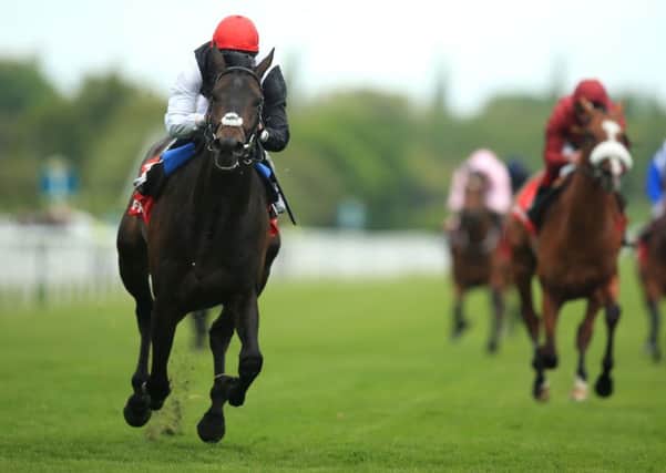 HORN BLOWER -- Investec Derby favourite Golden Horn storms home in the Betfred Dante Stakes at York last month. (PHOTO BY: Mike Egerton/PA Wire).