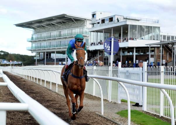 FIT FOR A KING -- Wetherby, where Diamond King was an impressive winner of his first races in Bumpers and novice hurdles.