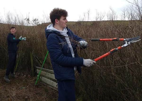 Premier Inn employees Dan Sheerin and George Stone tackle an overgrown hedge at the VCSPD allotment.