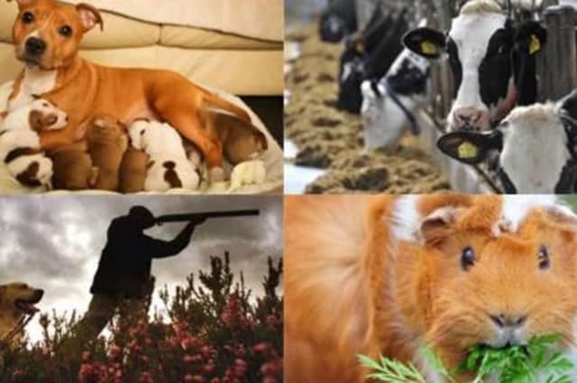 EU referndum and animal welfare