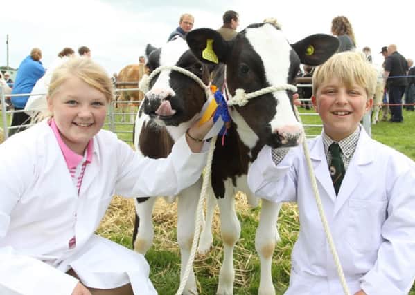 Zoe Fowell and John Bonsall with the Ravenstorr Herd Calves, pictured at Manifold Show in 2013.