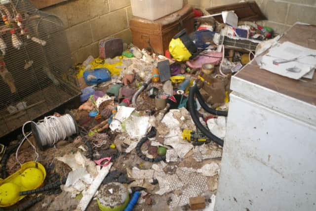 The dogs were living in this area. Picture: RSPCA.