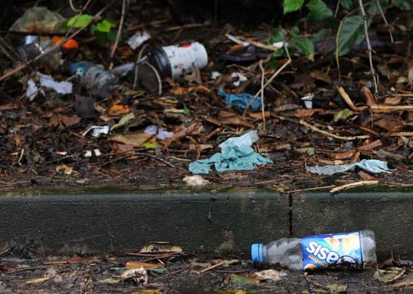 Litter. Picture: Andrew Roe