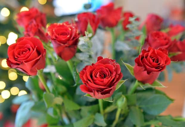 Flowers - red rose