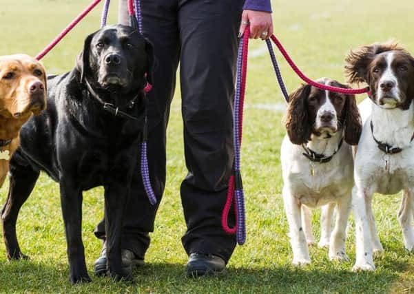 Dog owners are urged to keep their pets on leads when crossing land containing livestock.