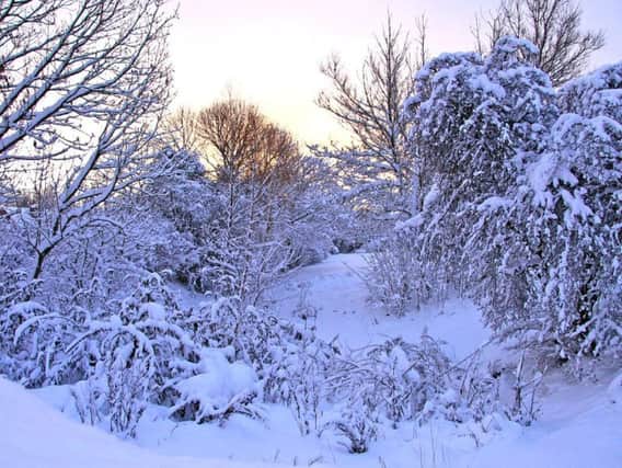 Derbyshire County Council said up to 10cm of snow is set to fall in the High Peak.