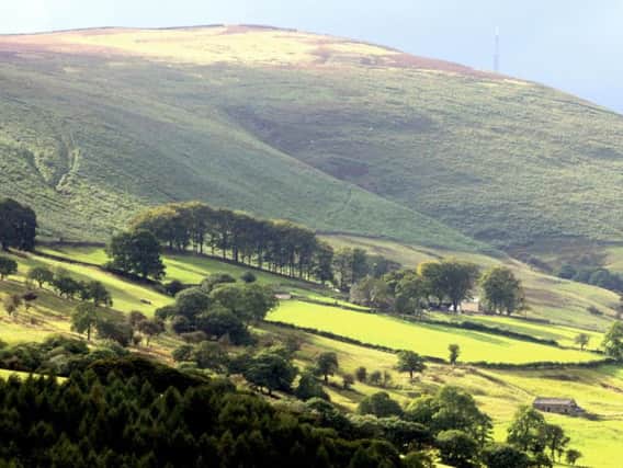 Campaigners have criticised a move to sell off woodlands in the Peak District National Park