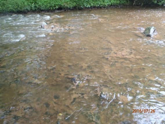 A photo showing the July 2016 pollution incident in Whaley Bridge.