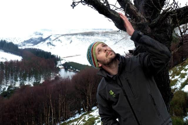 Peak District appeal to provide '˜woods for the future'