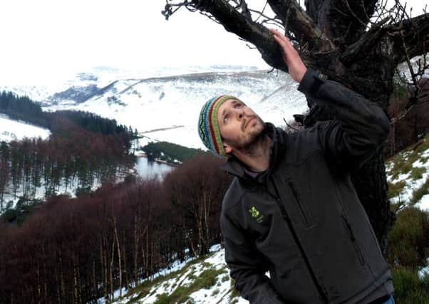 National Trust project officer for the High Peak Tom Harman checking growth on an oak tree above Howden reservoir. Photo: David Bocking.