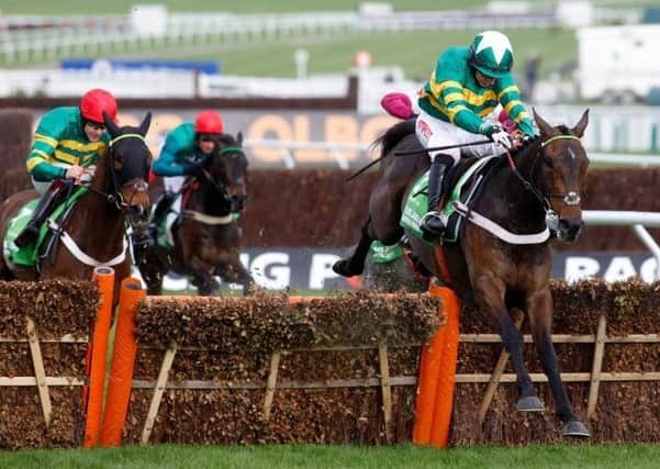 Buveur D'Air wins the Champion Hurdle at last year's Cheltenham Festival. He is a short-priced favourite to land a repeat success.