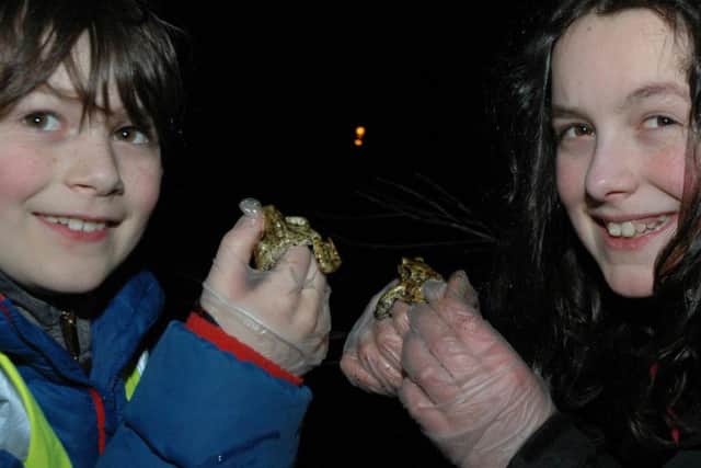 Luca and Poppy Abrahams transfer two frogs into the Mere. Photo: Rod Leach.