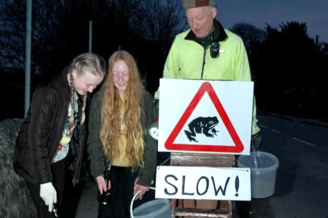 Simon Corble puts up the road warning signs with daughter Rowan, centre, and
friend Zara Williamson, both 12, who are out every night during March and April. Photo: Rod Leach.