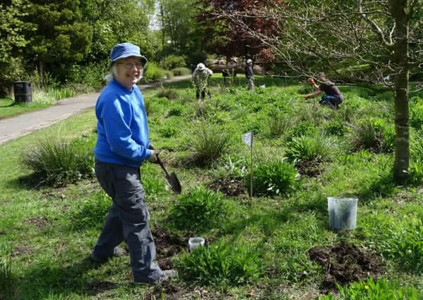 Wild flowers have been planted at Serpentine Walks as oart of the urbitat project