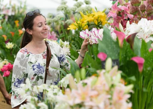 Visitors inside the Floral Marquee at RHS Chatsworth Flower Show 2017. Photo by Georgi Mabee.