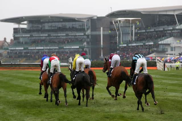 It's Grand National weekend - and organising your own sweepstake couldn't be easier (Photo by Alex Livesey/Getty Images)