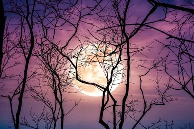 Friday 13 is spooky enough already, but this year a harvest full moon will accompany the superstitious day (Photo: Shutterstock)