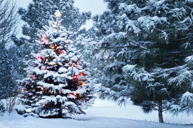 Christmas is shortly upon us, but are we set to see a white Christmas or will the weather be bleak and grey? (Photo: Shutterstock)